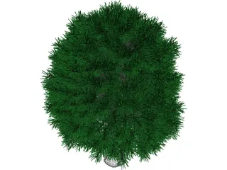 Tree 3D Model