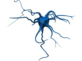 Neuron 3D Model