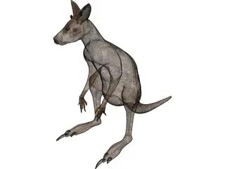 Kangaroo 3D Model