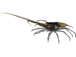 Lobster (Palinurus Elephas) 3D Model