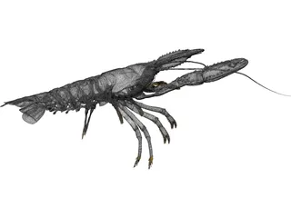 Lobster (Nephrops Norvegicus) 3D Model