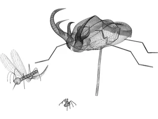 Insects 3D Model