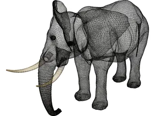 Elephant African Male 3D Model