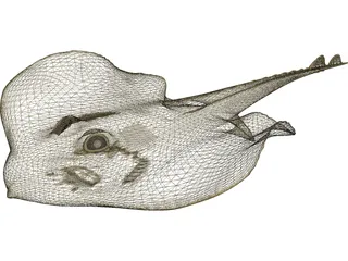 Devilfish 3D Model