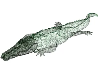 Crocodile 3D Model