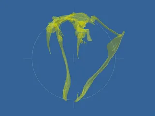 Snake Skeleton 3D Model