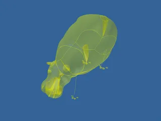 Hippopotamus 3D Model