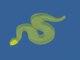 Snake Viper 3D Model