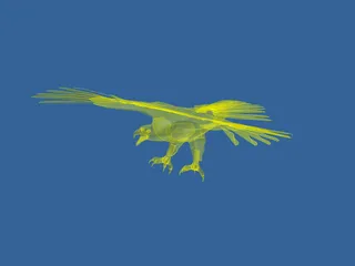 Eagle 3D Model