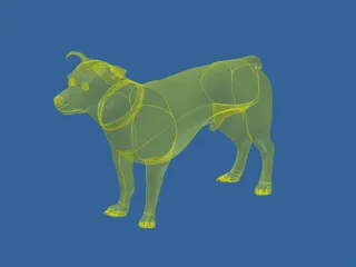 Dog 3D Model