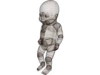 Newborn Baby 3D Model