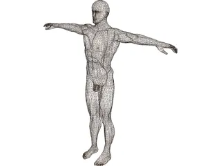 Man 3D Model