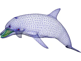 Dolphin 3D Model