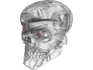 Terminator Head 3D Model