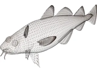 Pacific Cod 3D Model