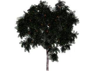 Zitronenbaum 3D Model