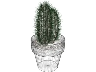 Cactus 3D Model