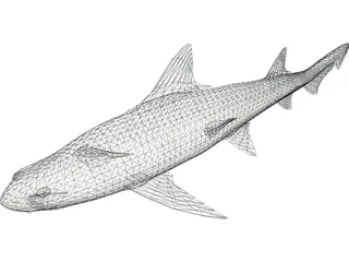 Leopard Shark 3D Model