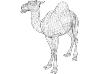 Camel 3D Model