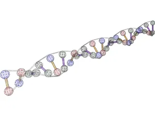 DNA Strand 3D Model