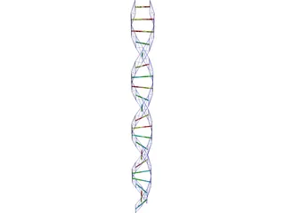 DNA Strand 3D Model