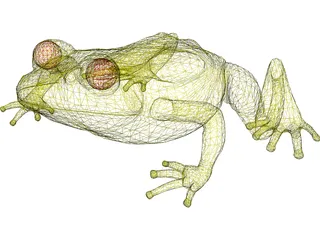 Frog 3D Model