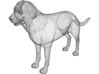 Dog 3D Model