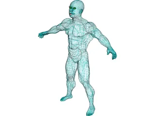 Muscle Man 3D Model