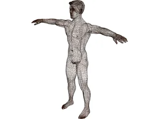 Man 3D Model