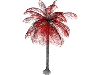 Palm Tree 3D Model