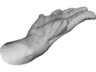Open Hand 3D Model