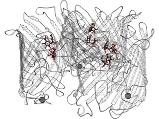 Protein 3D Model