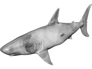 White Shark 3D Model