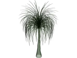 Palmera 3D Model