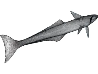 Remora 3D Model