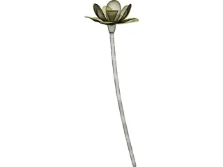 Lotus Flower (Nelumbo Lutea) 3D Model