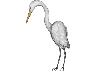 Great Egret (Ardea Alba) 3D Model