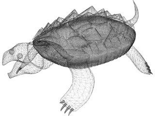 Alligator Turtle (Macrochelys Temminckii) 3D Model