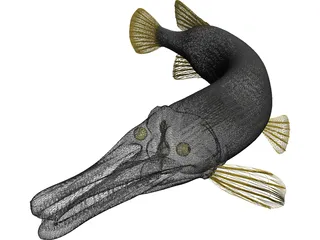 Alligator Gar (Atractosteus Spatula) 3D Model