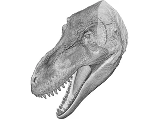 Tyrannosaurus Rex Head 3D Model