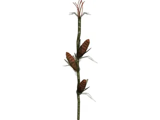 Corn Stalk 3D Model