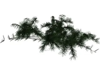 Tree 3D Model