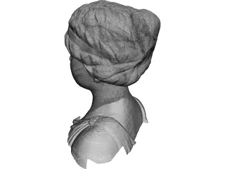 Head and Shoulders of a Statue of a Lady 3D Model