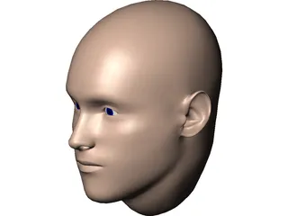 Human Head 3D Model