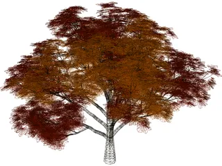 Chestnut Tree 3D Model