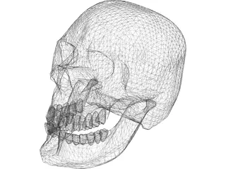 Skull Hell 3D Model