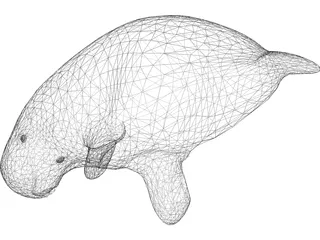 Manatee 3D Model