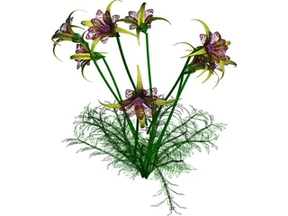 Aquilegia Bied 3D Model