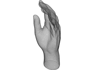 Hand 3D Model