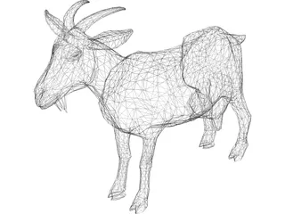 Goat 3D Model